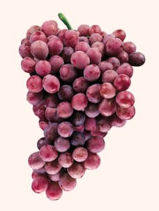 Grape Seed Extract has been shown to be 20 times more powerful than Vitamin C and 50 times more powerful than Vitamin E!